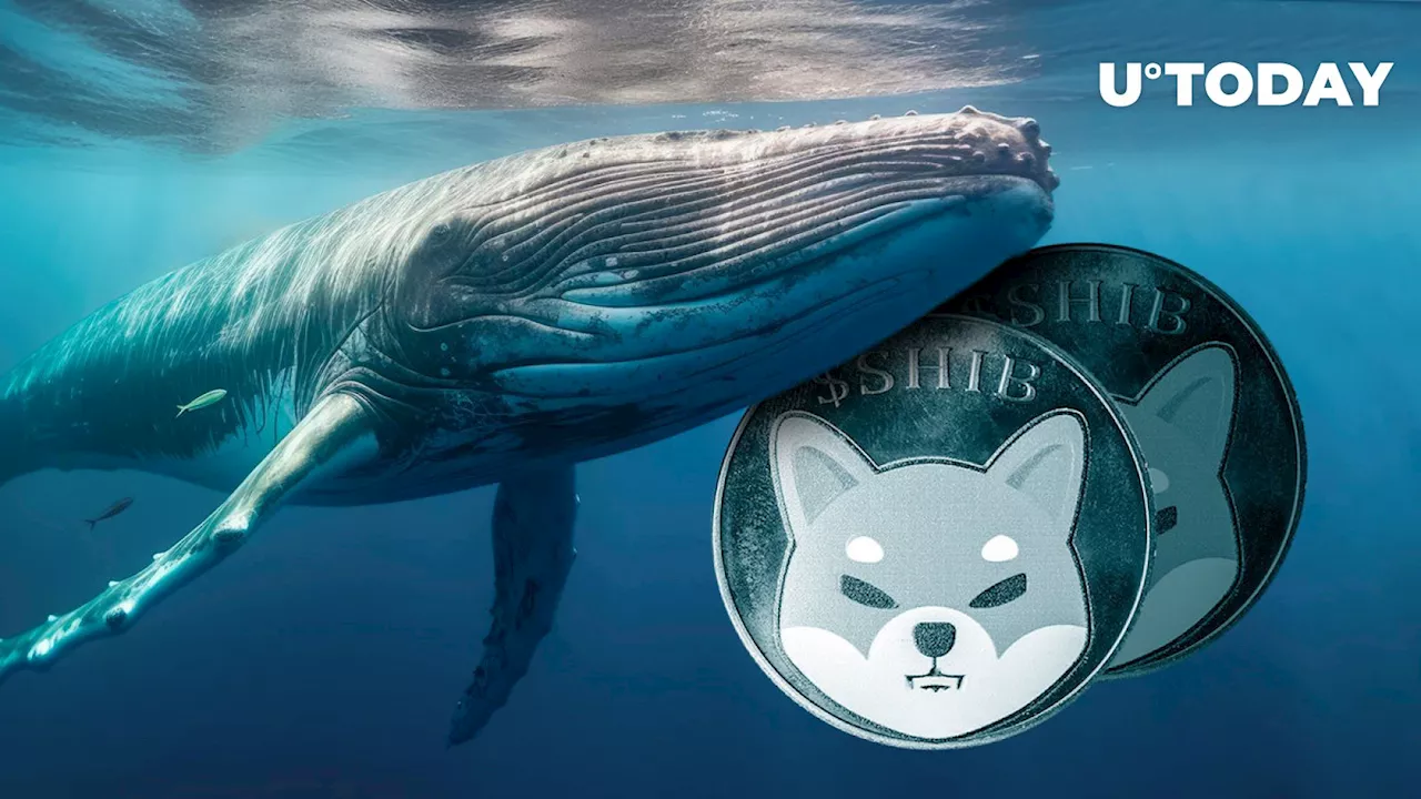 Shiba Inu (SHIB) Witnesses Unusual 2,300% Increase in Whale Activity