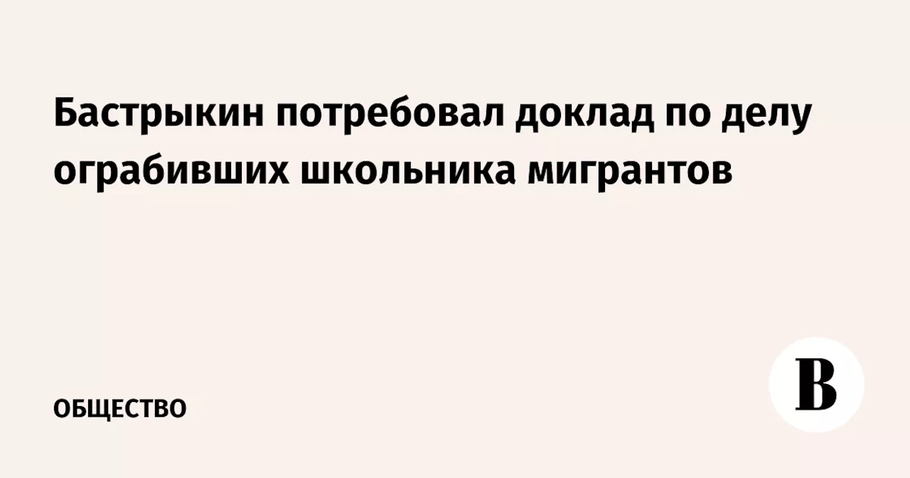 Бастрыкин потребовал доклад по делу ограбивших школьника мигрантов