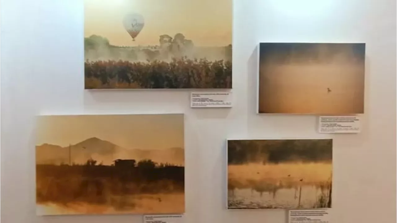 Menggali Makna di Balik Pameran Fotografi Changing Asia di Jakarta