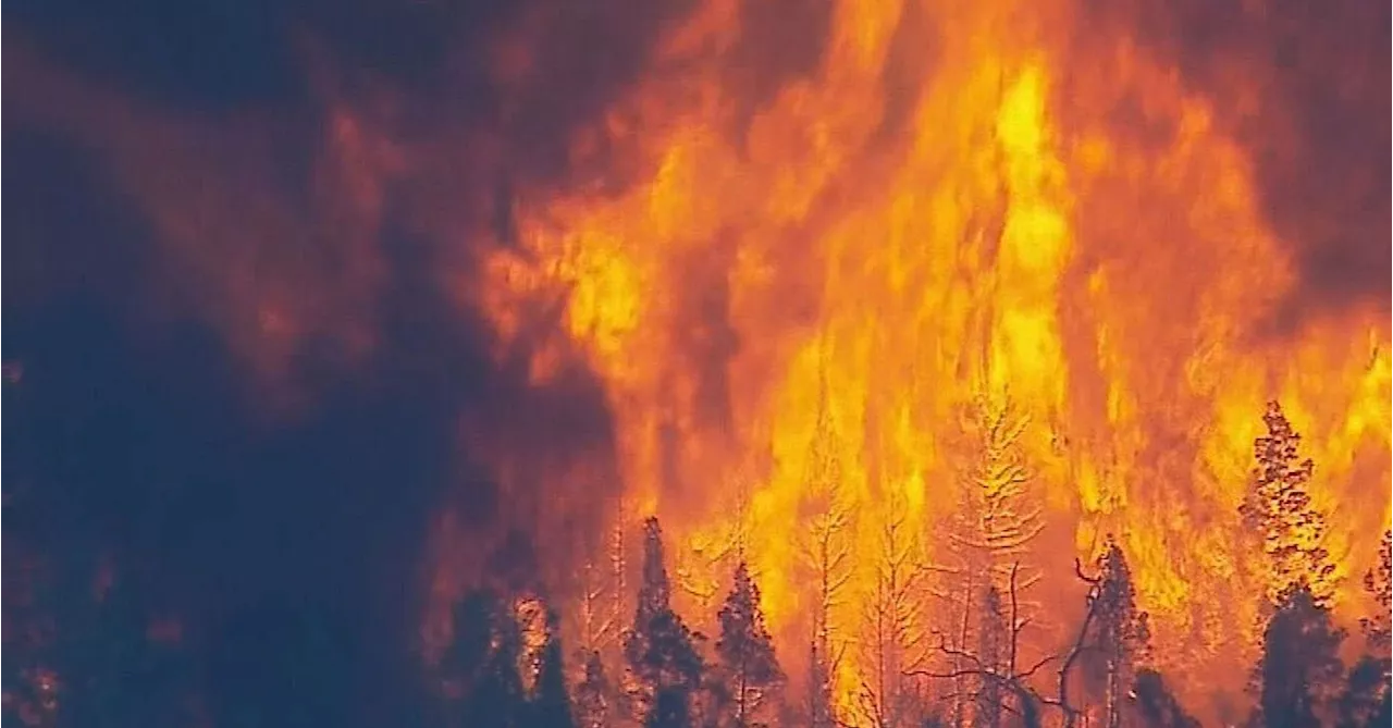 'Leave immediately': Residents in southern Queensland told to evacuate as bushfires threaten homes