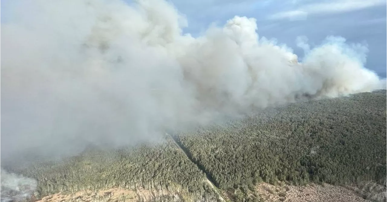 Police investigating suspicious NSW bushfire that burnt thousands of hectares