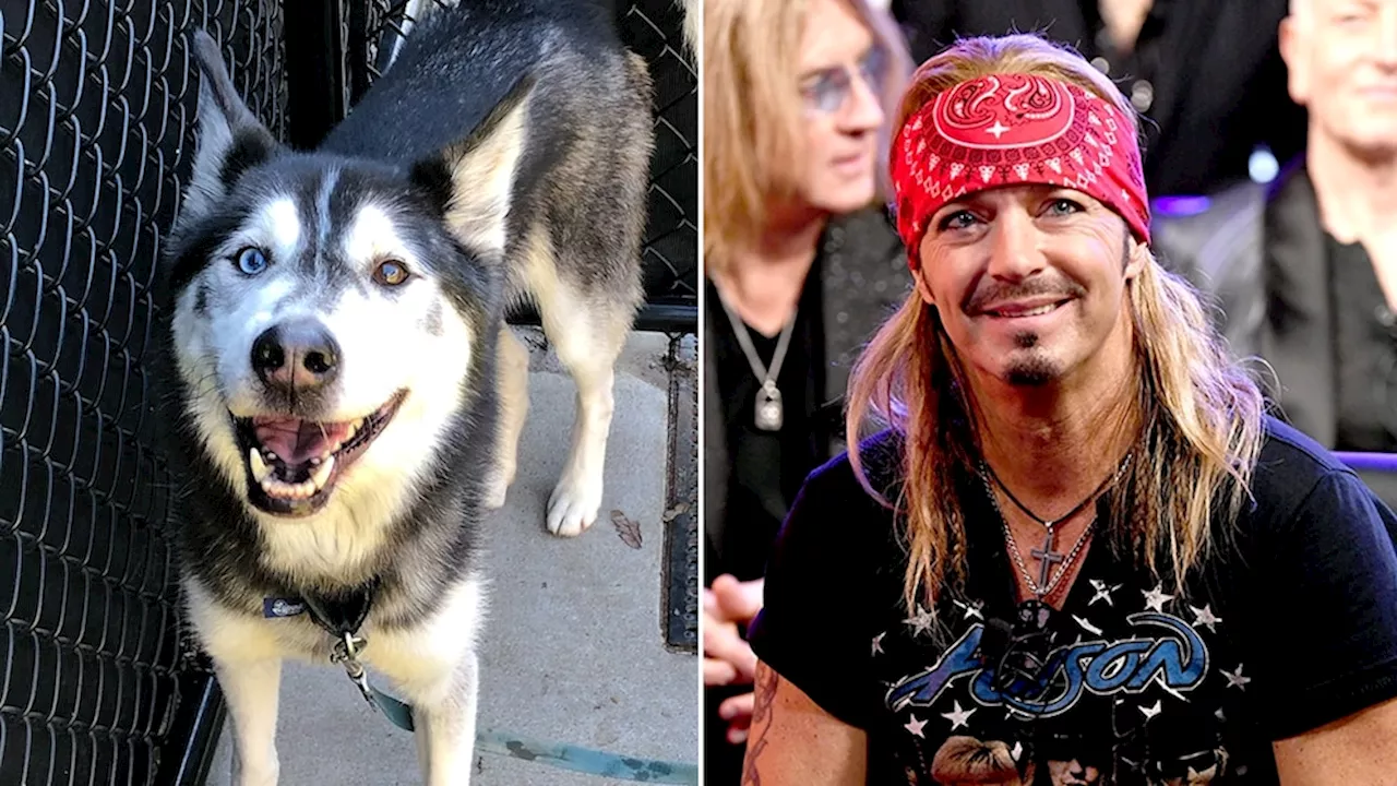 Poison frontman Bret Michaels adopts dog named after him