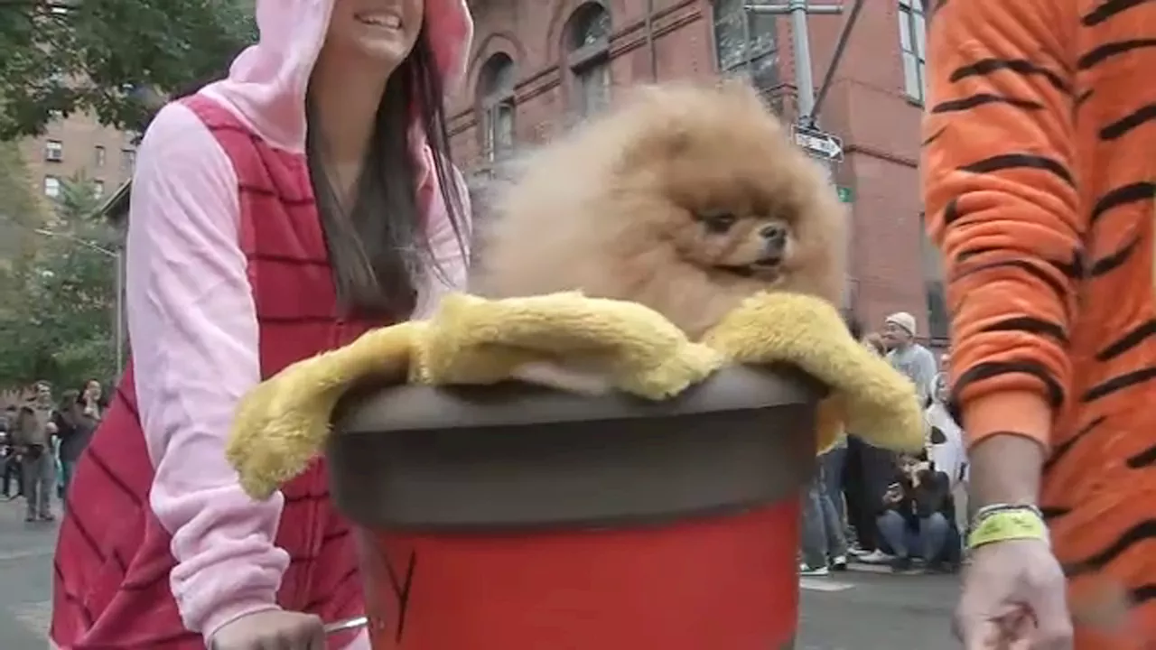 Pets strut their stuff in costumes for NYC's Halloween Dog Parade