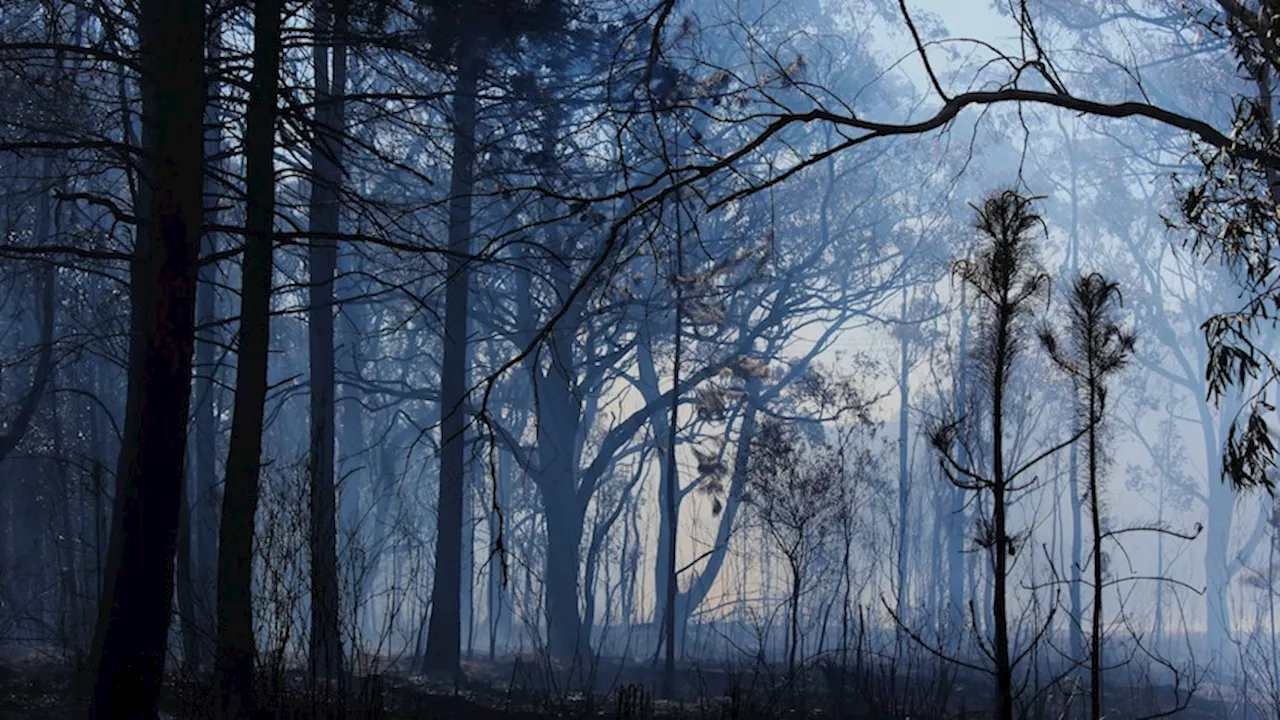 Emergency warnings issued for fast-moving fires in southern Queensland