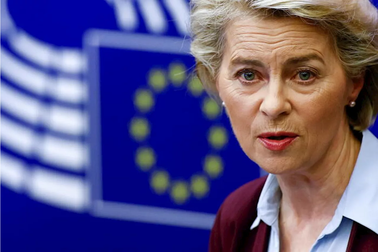 Von der Leyen, 'Europee 2024 tra più importanti in storia Ue'