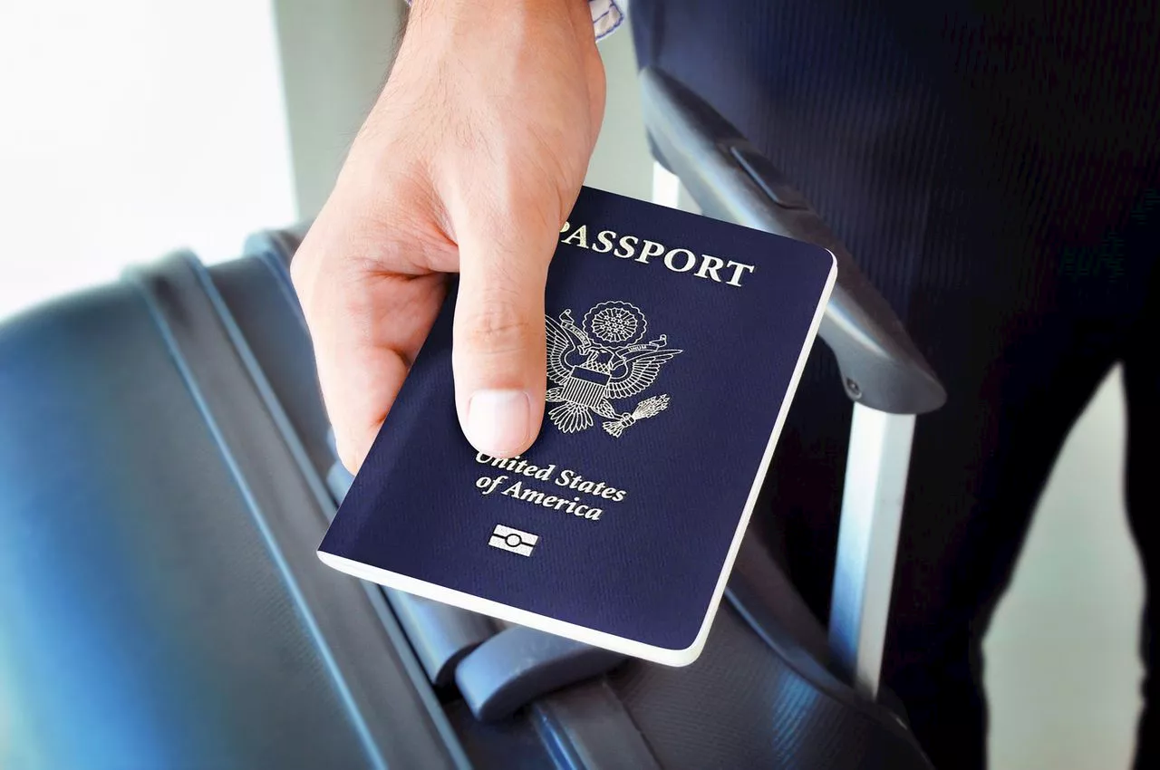 Feds announce quicker passport processing times: How long will it take to get a passport?