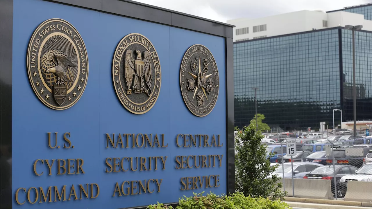 Former NSA worker pleads guilty to trying to sell US secrets Russia