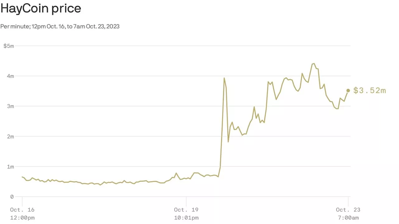 How an unsuspecting crypto meme exploded in price beyond bitcoin