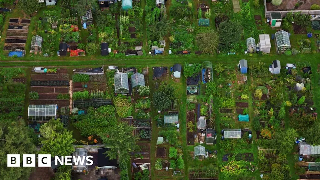 Abbots Leigh Allotments Continue To Cause Controversy