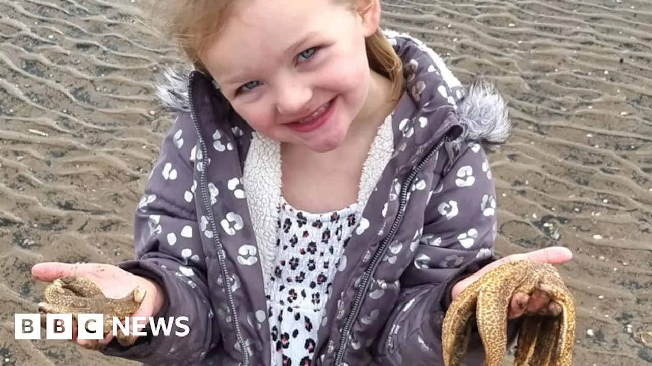 Cleethorpes girl saves hundreds of starfish washed up by Storm Babet