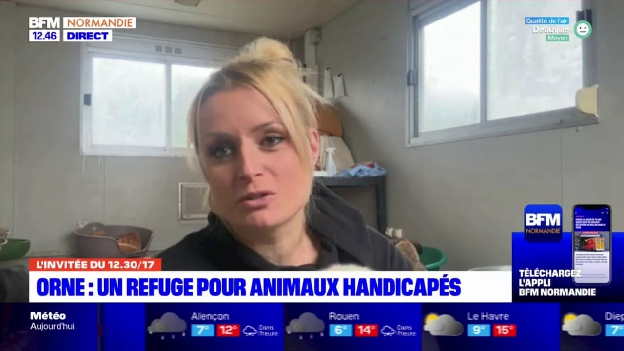 Orne: un refuge accueille près de 300 animaux handicapés du monde entier