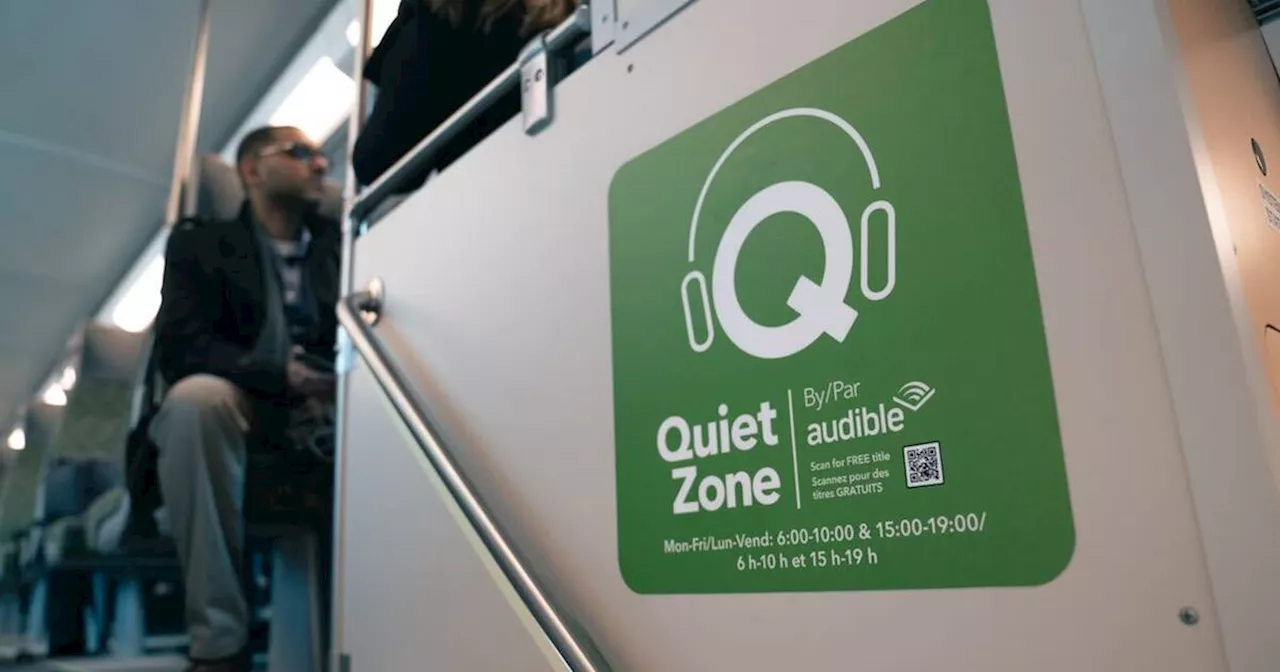 Ontario man loses it over person talking in quiet zone of GO Train