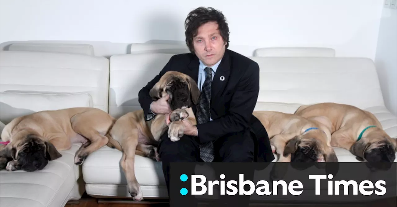 Far-right libertarian and his five cloned dogs vie for Argentina’s presidential palace