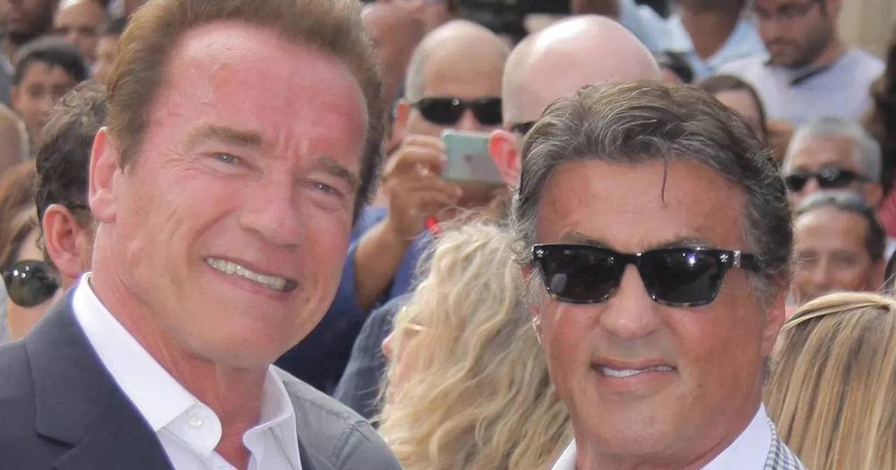 Arnold Schwarzenegger: So beseitigte ein Staranwalt seinen Kampf mit Stallone