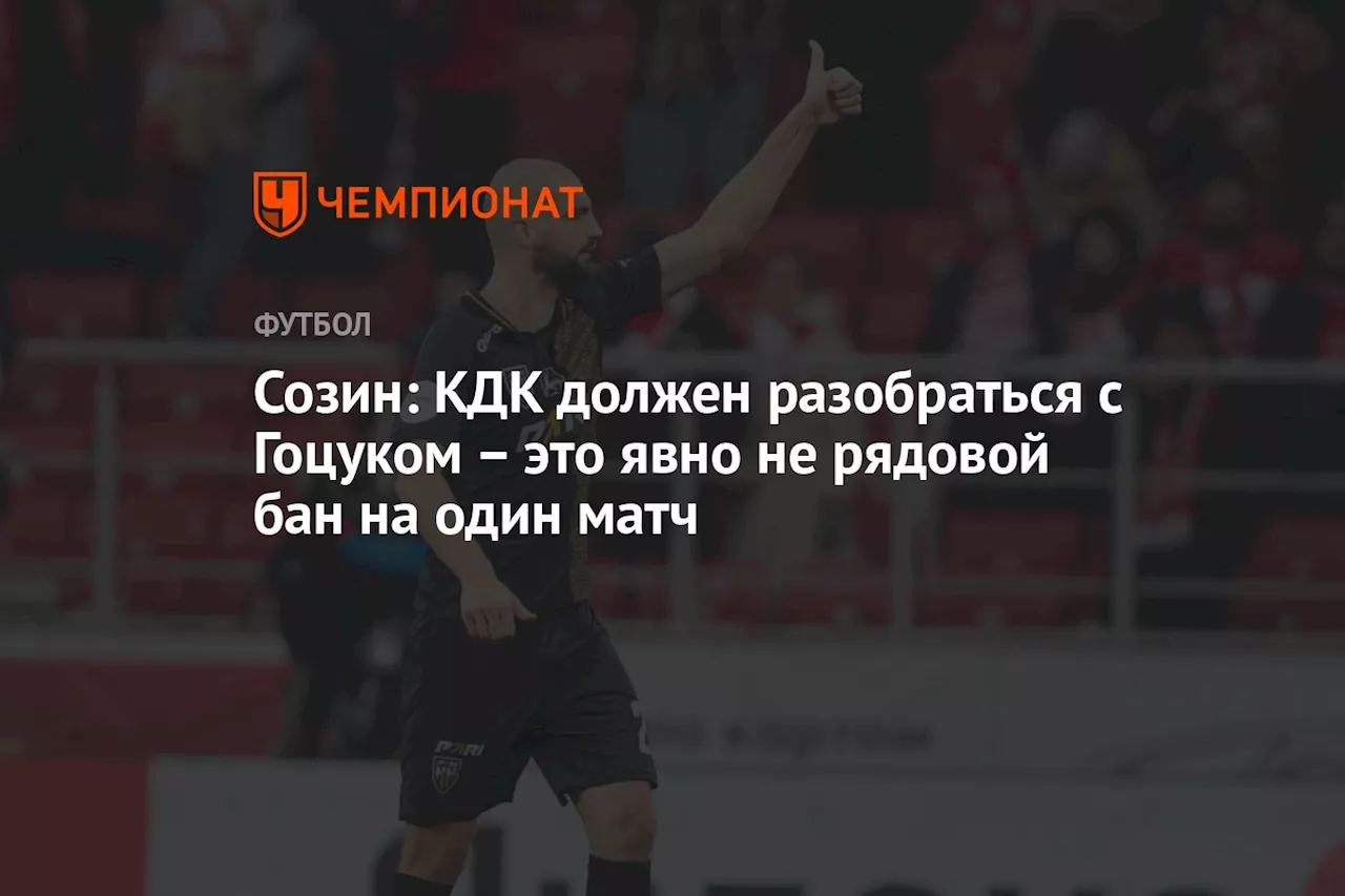 Созин: КДК должен разобраться с Гоцуком – это явно не рядовой бан на один матч