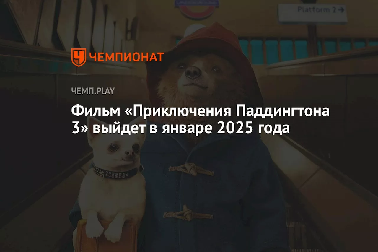 Фильм «Приключения Паддингтона 3» выйдет в январе 2025 года