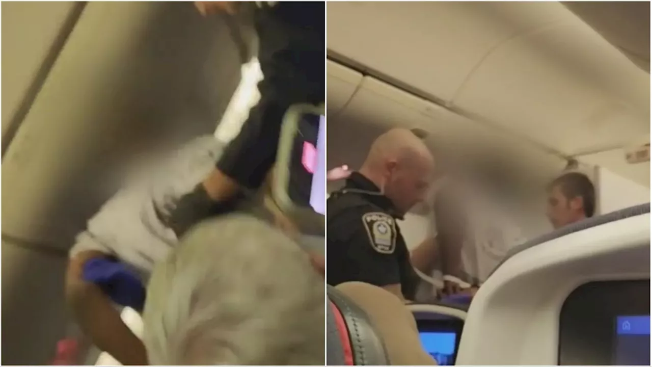 Video shows police removing 'disruptive' passenger from Toronto-bound overseas flight