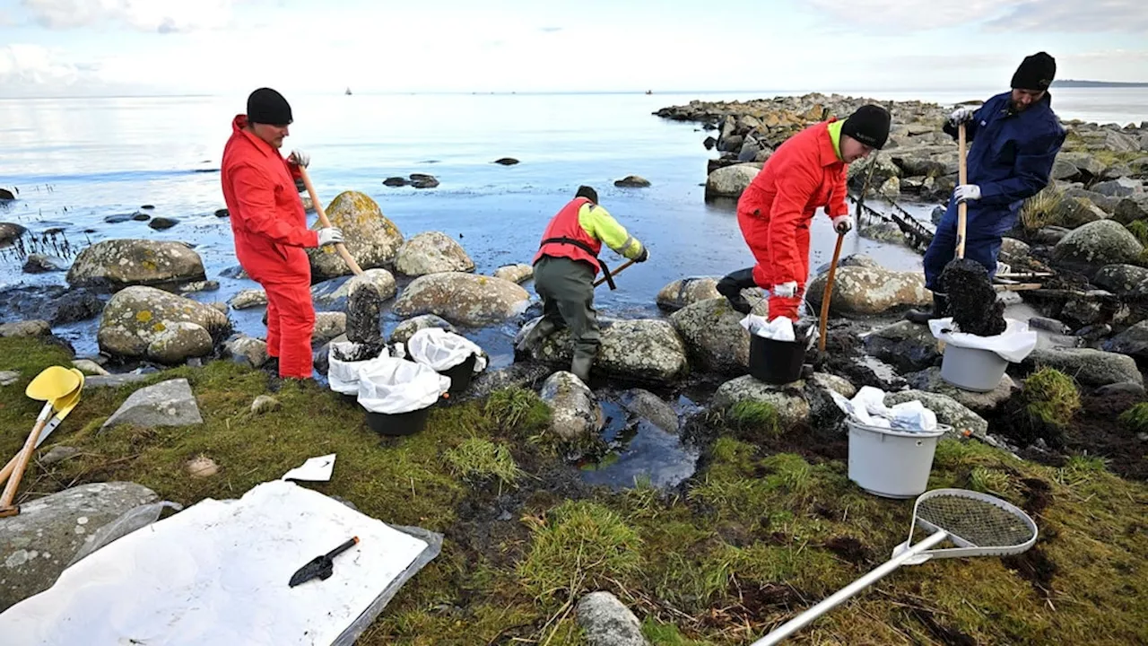 Miljöforskare om utsläppet av olja i Hanöbukten i Blekinge