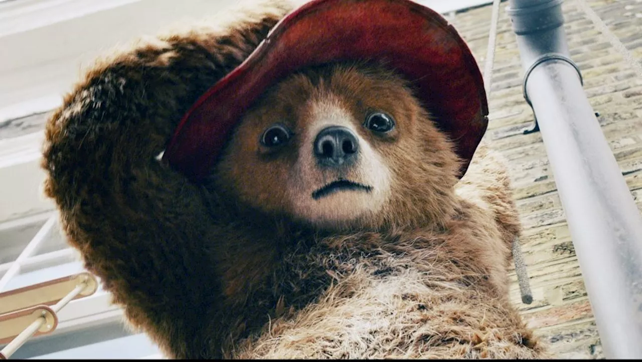 Paddington in Peru Sets 2025 Theatrical Release U.S., 2024 UK