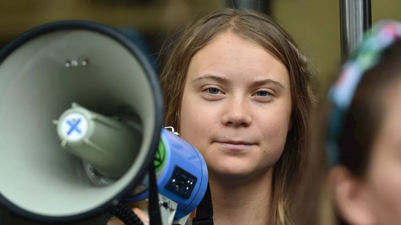 Nach Pro-Palästina-Post: Israelische Klimaaktivisten kritisieren Greta Thunberg