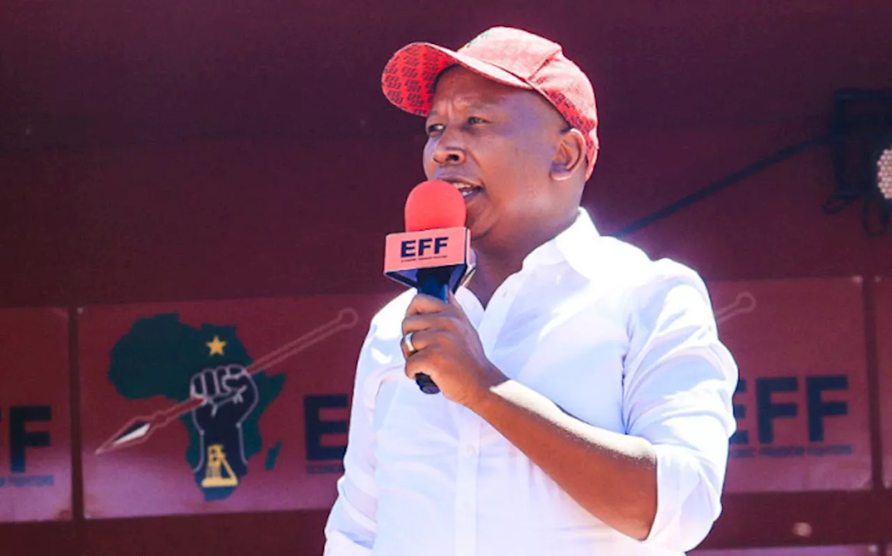 Malema says EFF will ramp up job creation in Mpumalanga