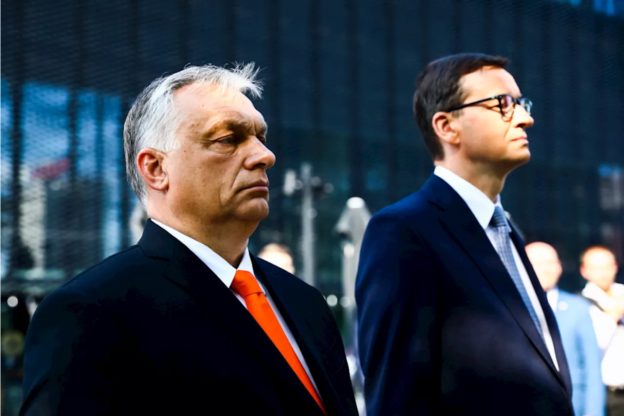 Orban ramps up criticism of Brussels ahead of European elections