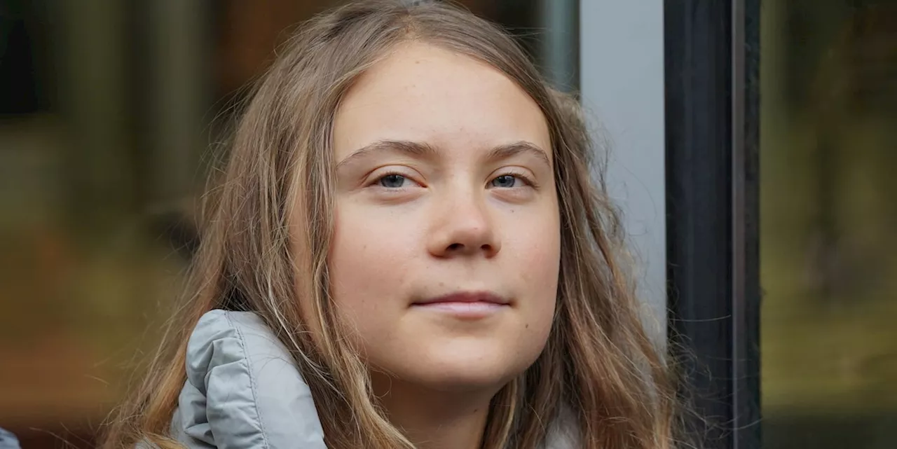 Greta Thunberg solidarisch mit Gaza: Reaktion aus Israel kommt umgehend