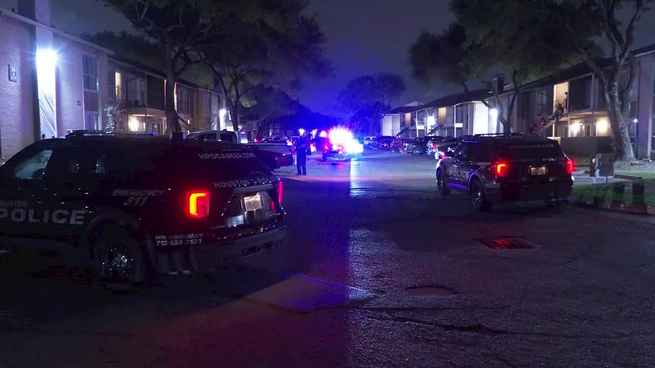 Houston home invasion: Woman shot to death at apartment on Fleming