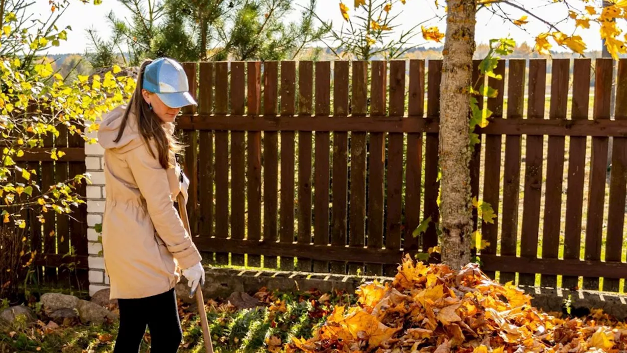 Gartenarbeit im Herbst: Laub, Äste und mehr richtig entsorgen