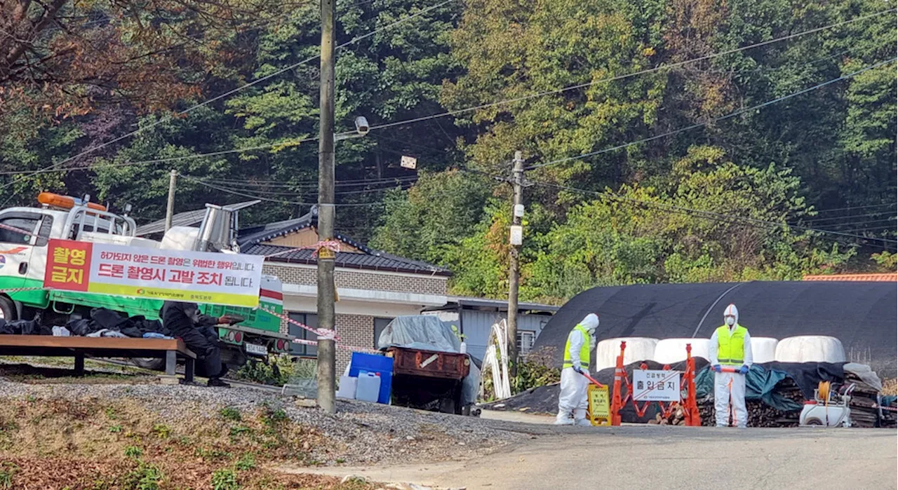 충북 음성서 럼피스킨병 확진…전국 14번째