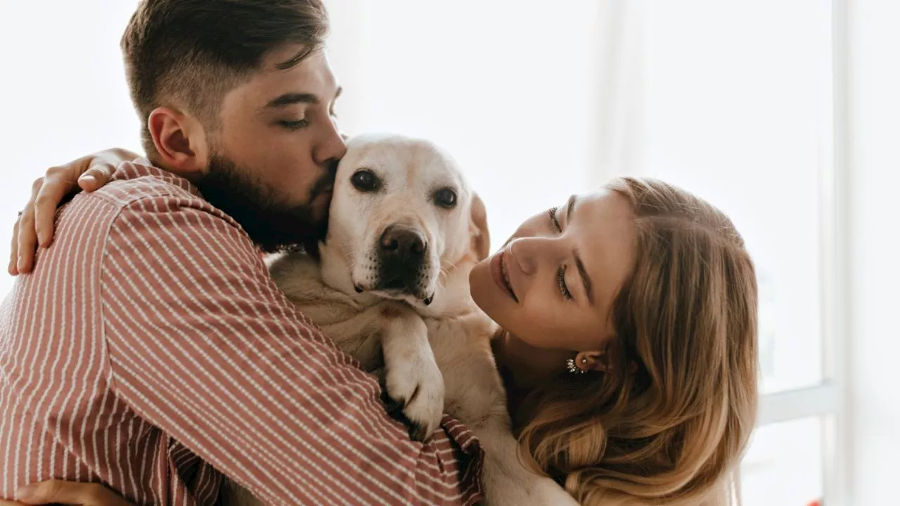 Tribunal Superior de Colombia reconoce por vez primera a un perro como miembro de una familia