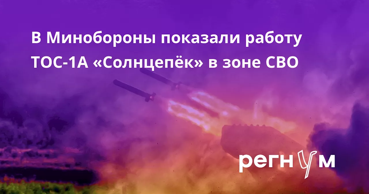 В Минобороны показали работу ТОС-1А «Солнцепёк» в зоне СВО