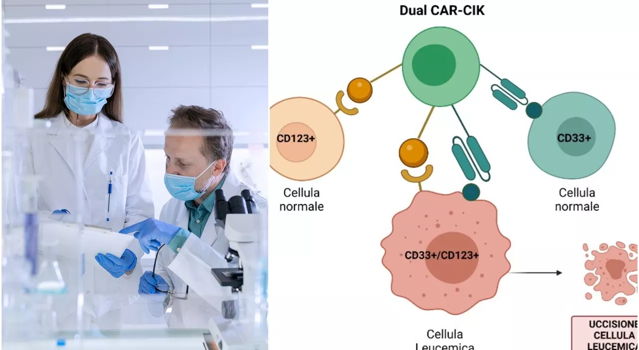 Leucemia, le cellule Carcik contro i contro tumori del sangue: remissione malattia in oltre 60% dei casi