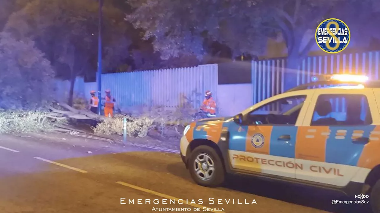 Suspendidos los trenes entre Huelva, Sevilla y Cádiz por la borrasca Bernard