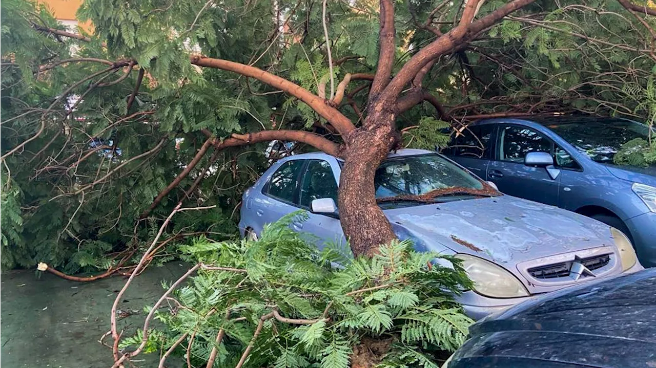 Un muerto al producirse un desprendimiento de tierras por el temporal en Huelva