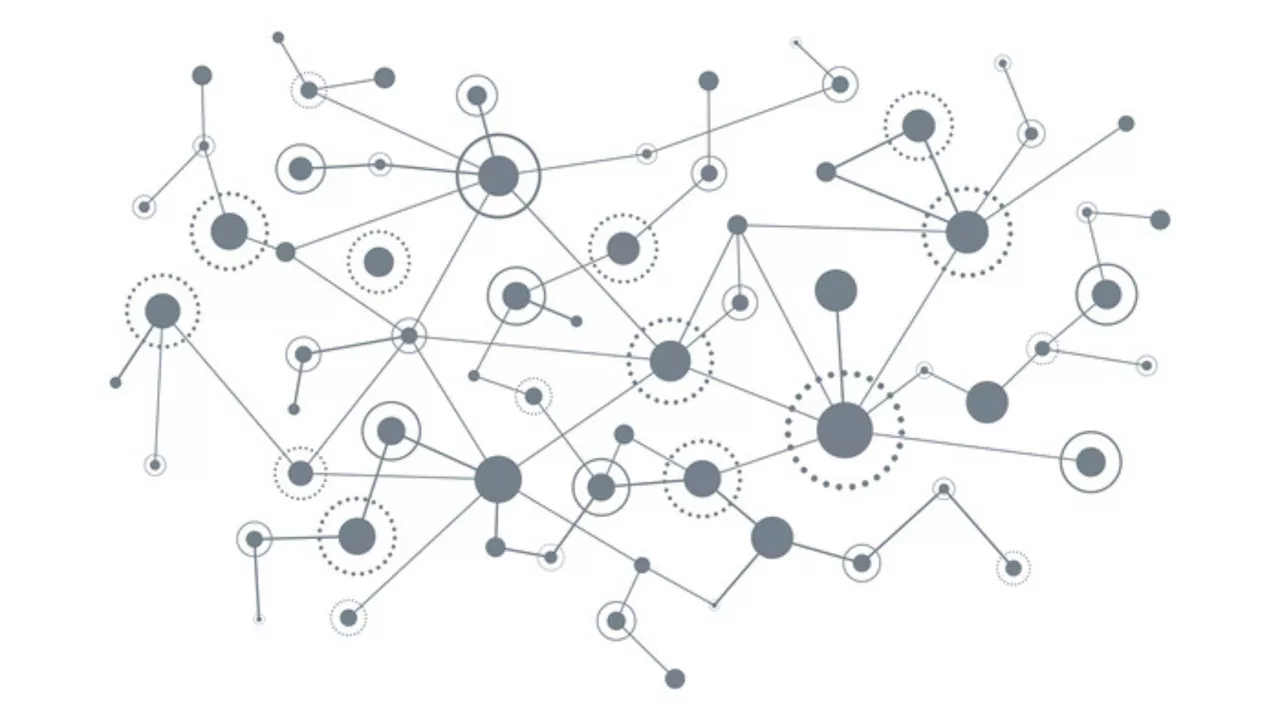 Is graph theory the key to understanding the brain?