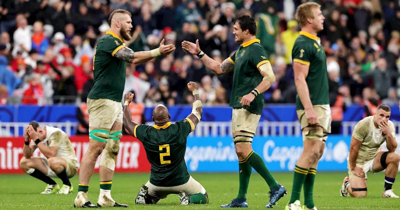 Heavyweights South Africa and New Zealand to decide Rugby World Cup top dog