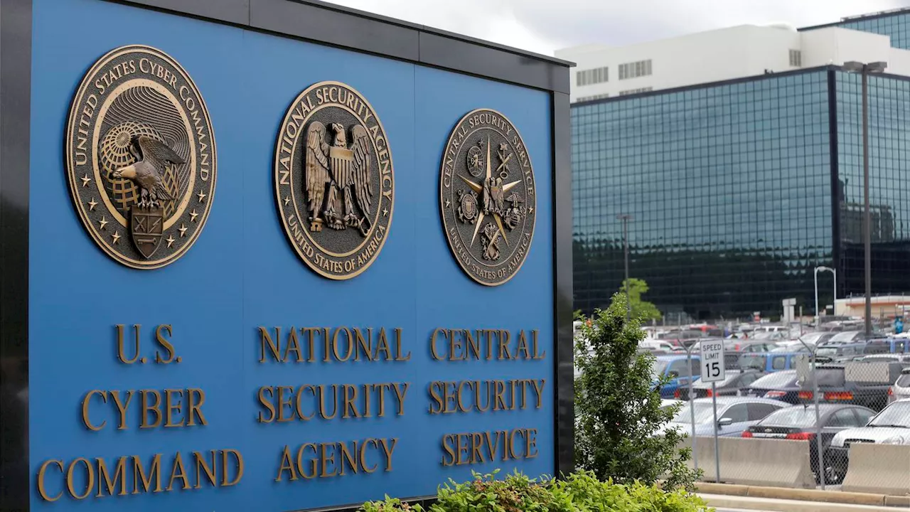 Former NSA worker pleads guilty to trying to sell US secrets Russia