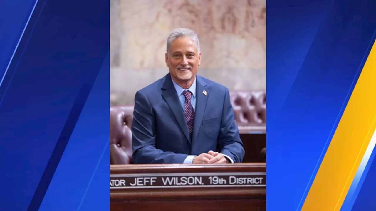 State Sen. Jeff Wilson arrested at Hong Kong airport for gun in luggage