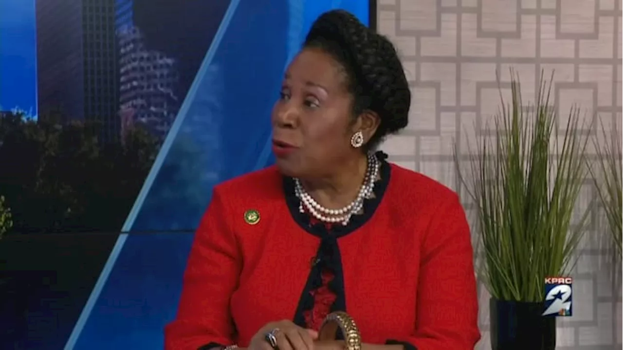 US Rep. Sheila Jackson Lee’s campaign chair assaulted