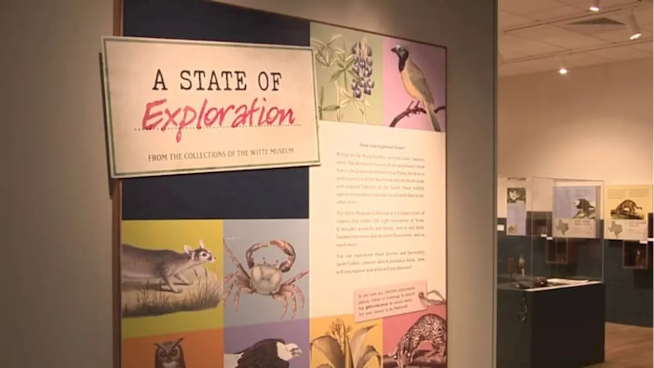 Explore Texas iconic habitats at new Witte Museum exhibit