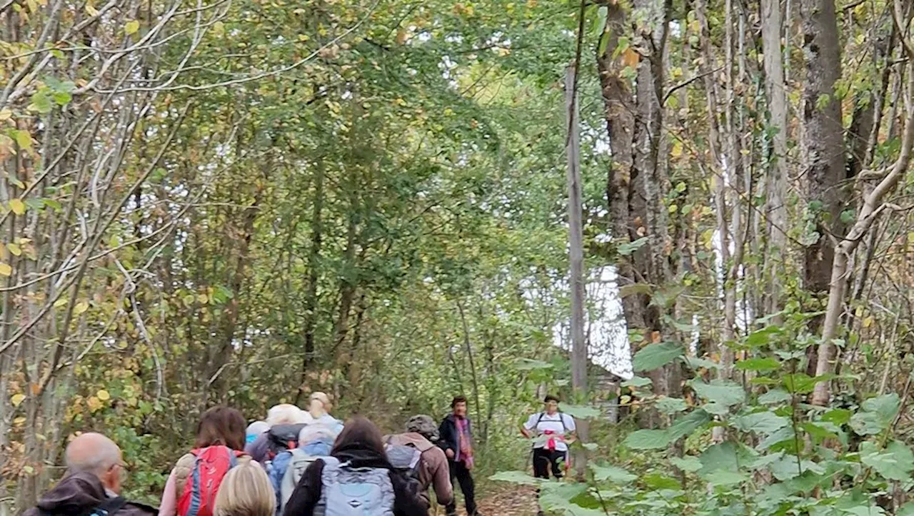 Sainte-Croix-Volvestre. Une sortie pédestre pour redécouvrir le sentier de Guillou