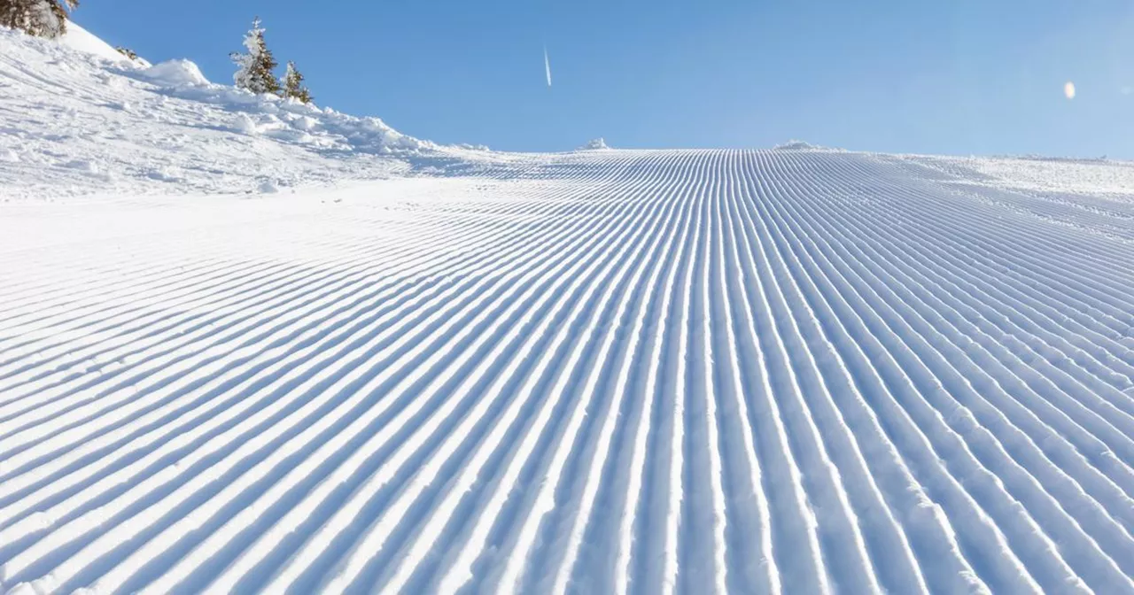 Réservations au ski : ce qui surprend les professionnels cette année