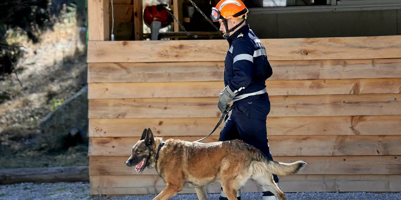 Suisse : un Ardéchois doit 10 000 euros aux pompiers qui ont sauvé son chien