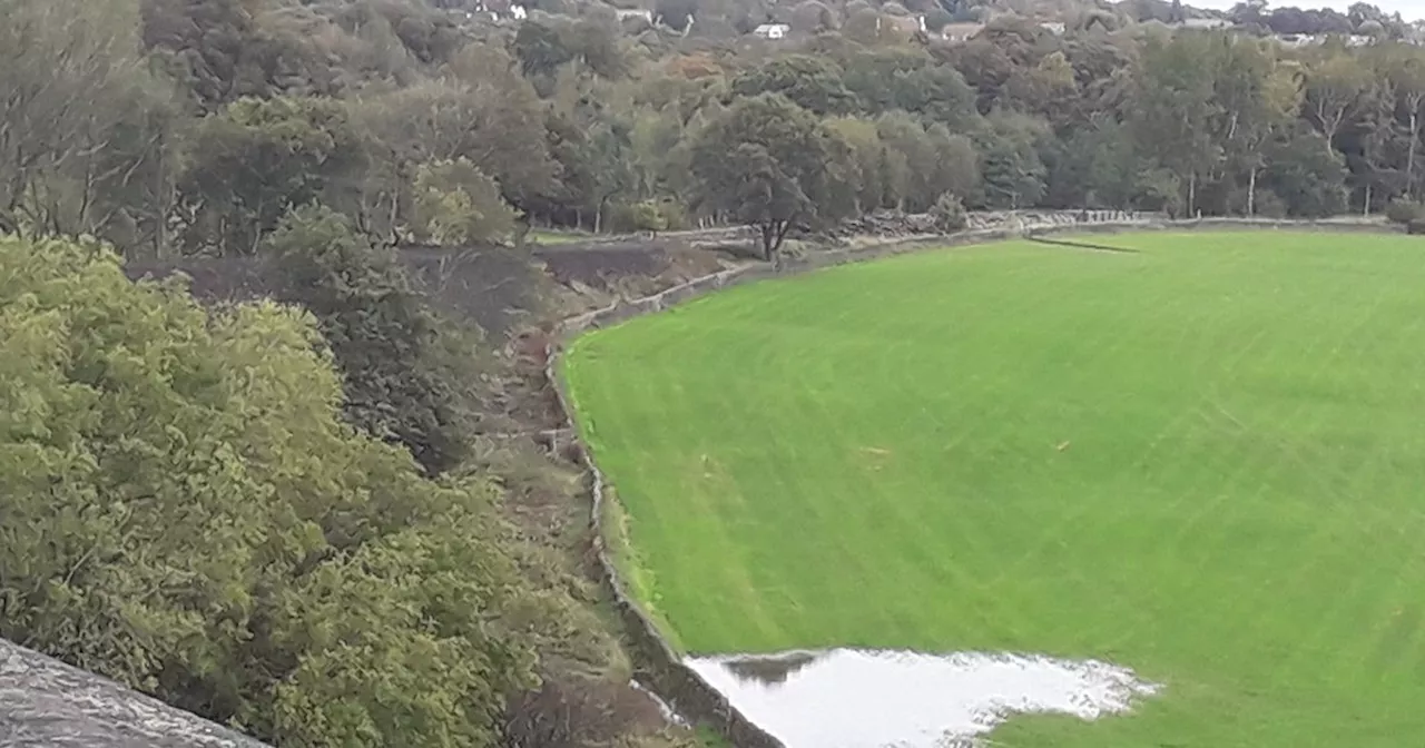 Caravan park did not have permission to cut down trees and dig huge ditch