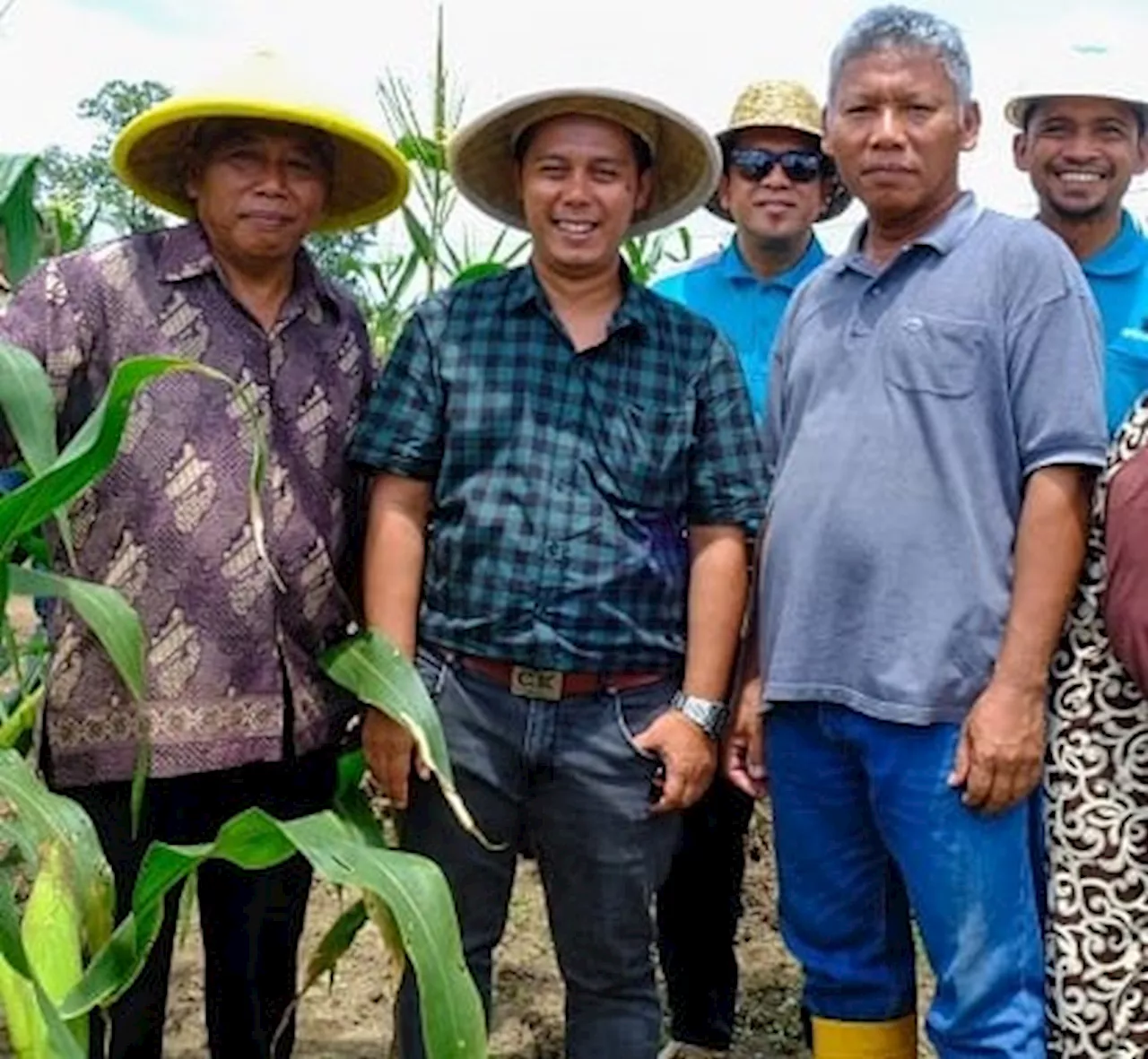 Gandeng Kelompok Tani, Wilmar Dukung Ketahanan Pangan Masyarakat