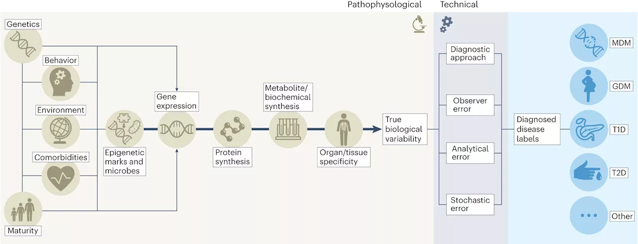 Q&A: The art of diabetes care—why precision medicine leads to better diabetes care