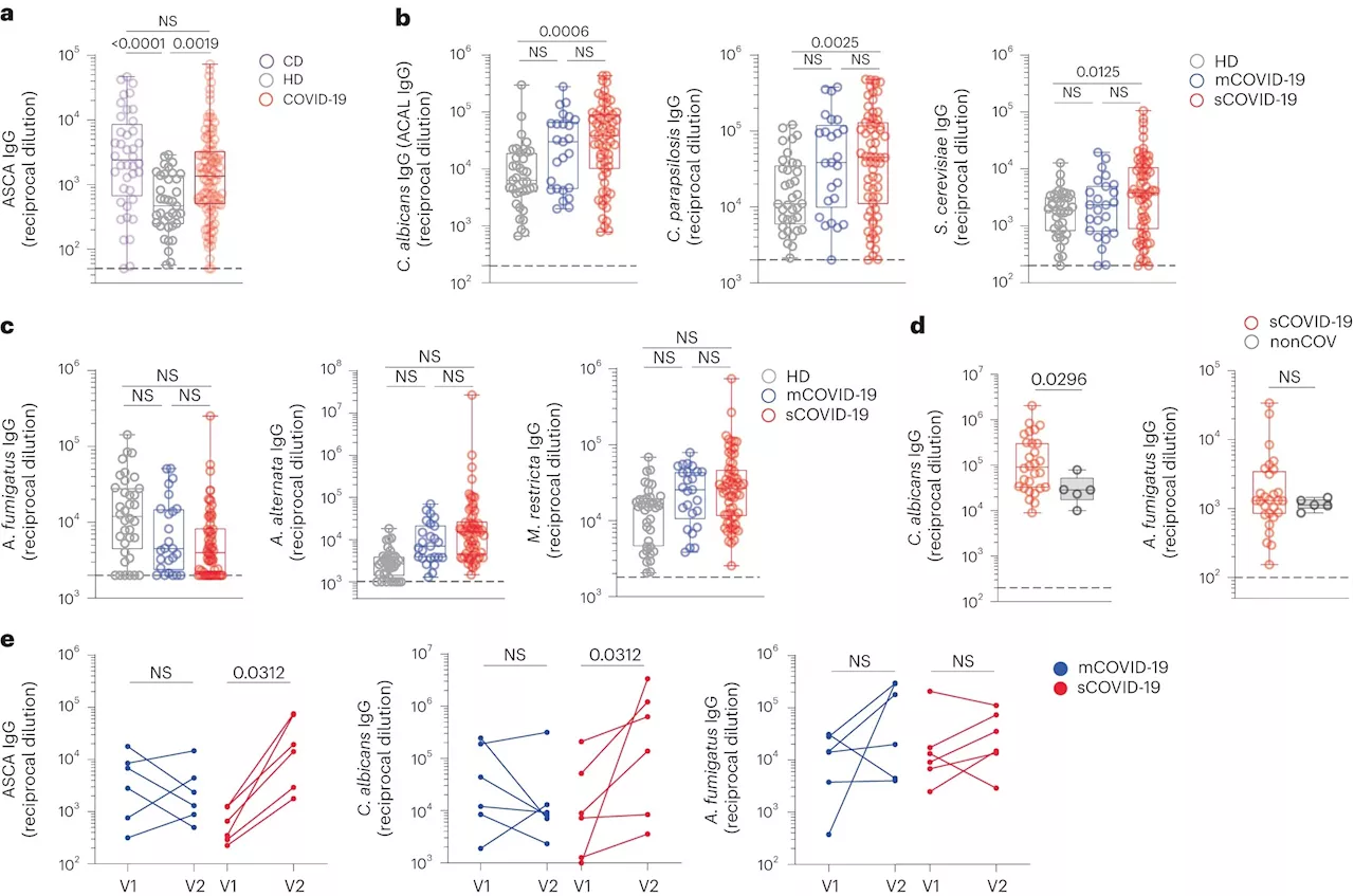 Study highlights gut fungi's lasting impact on severe COVID-19 immune response