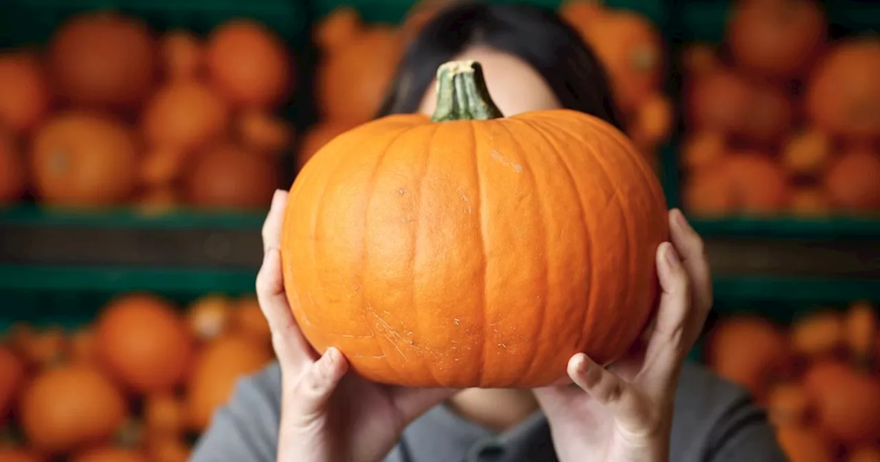 Supermarket is selling 75p pumpkins to help families do Halloween on the cheap