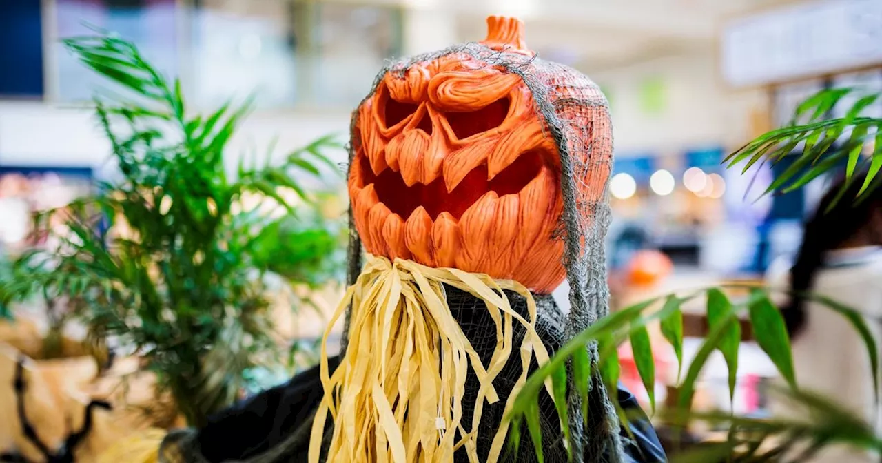 Things to do with the kids in and around Manchester this half term and Halloween